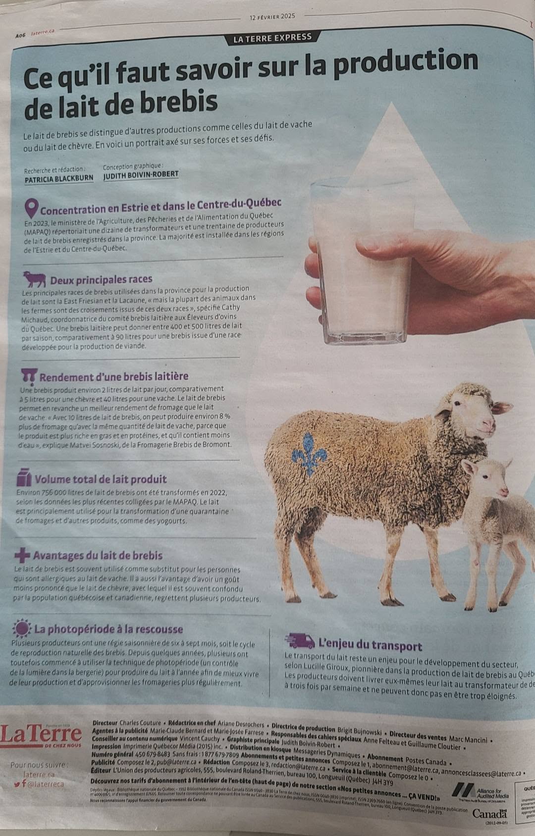 Article sur la production de lait de brebis au Québec
