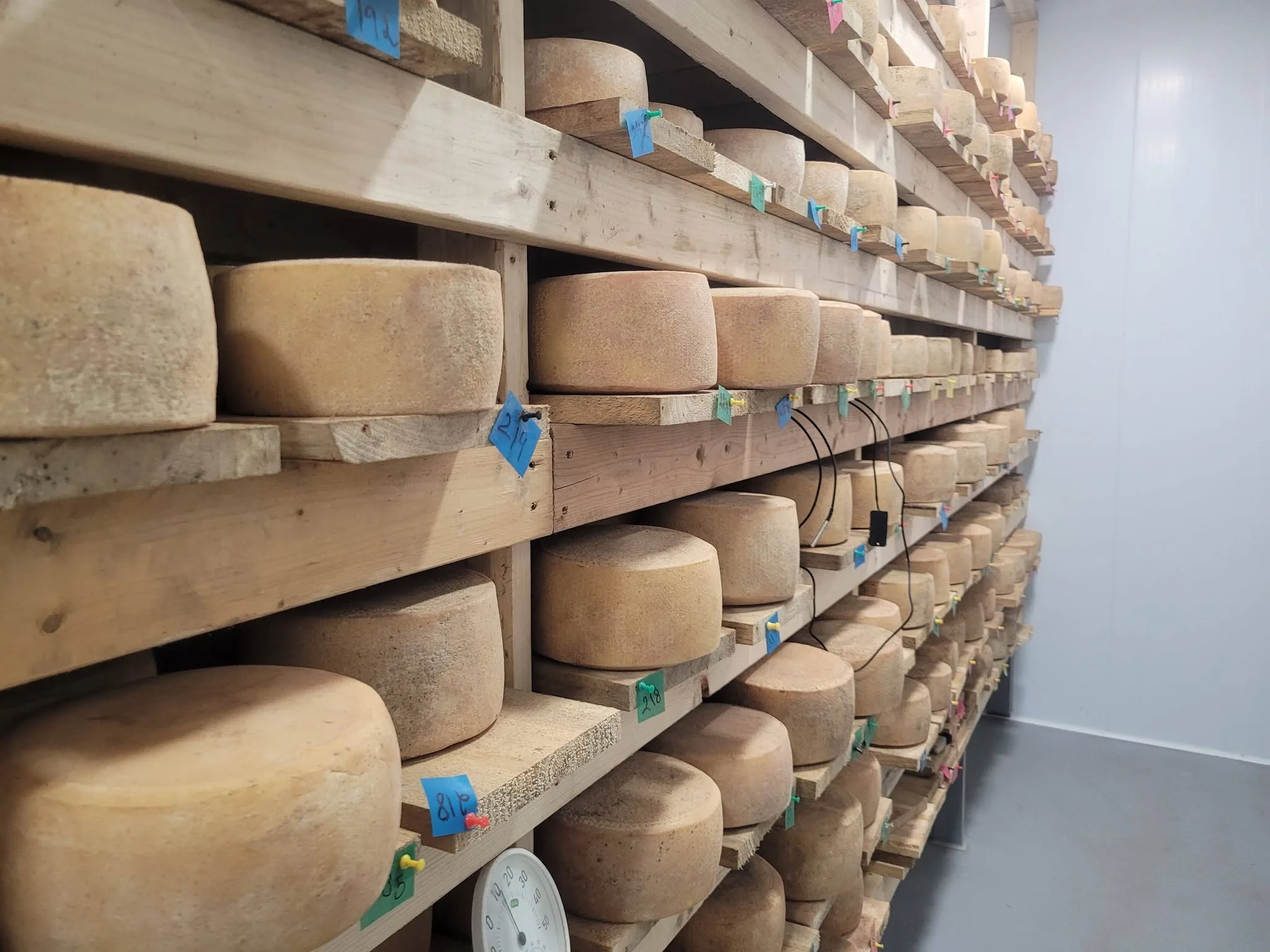 Fabrication de fromage de brebis à la fromagerie